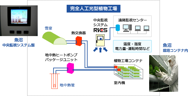 エネルギーのベストコラボ 新潟式(少雪型・豪雪型)植物工場